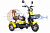 Трицикл RUTRIKE Шкипер (жёлтый-2359)